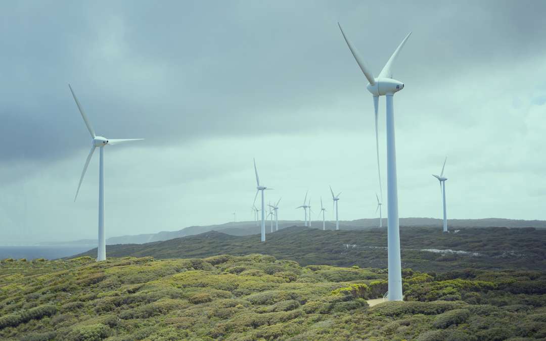 Quelle est l’énergie renouvelable la plus produite dans l’Union européenne ?