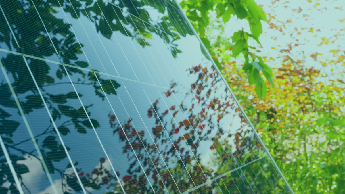 Le guide complet sur l’énergie solaire&nbsp;: définition, photovoltaïque, achat