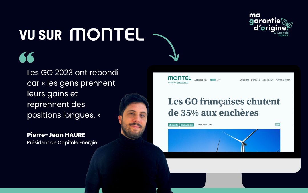 Les GO françaises chutent de 35% aux enchères (Montel)